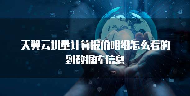 天翼云批量计算报价明细怎么看的到数据库信息