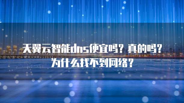 天翼云智能dns便宜吗?真的吗?为什么找不到网络?