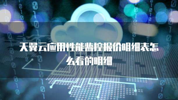 天翼云应用性能监控报价明细表怎么看的明细