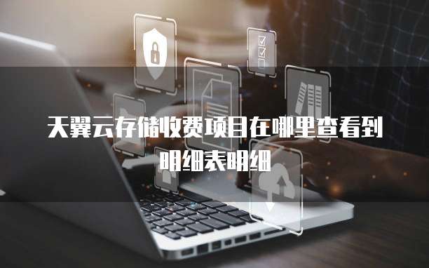 天翼云存储收费项目在哪里查看到明细表明细