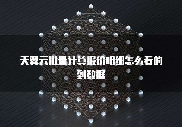天翼云批量计算报价明细怎么看的到数据