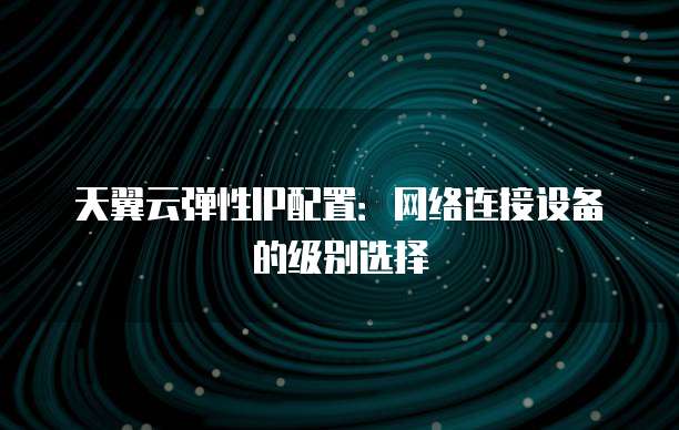 天翼云弹性IP配置:网络连接设备的级别选择
