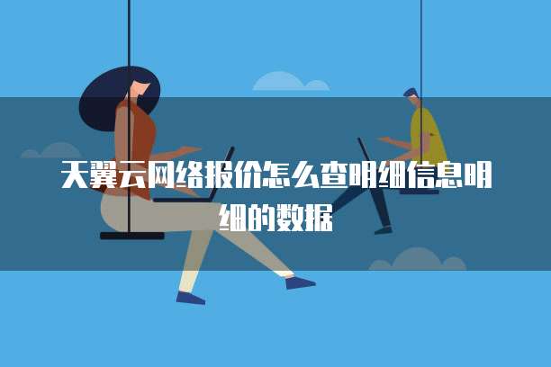 天翼云网络报价怎么查明细信息明细的数据