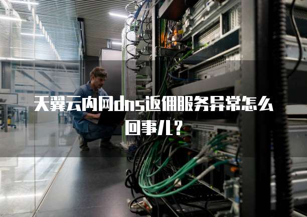 天翼云内网dns返佣服务异常怎么回事儿?
