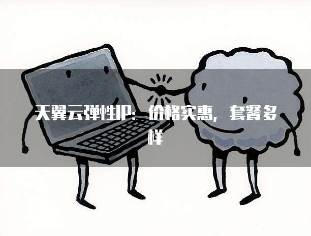 天翼云弹性IP：价格实惠，套餐多样