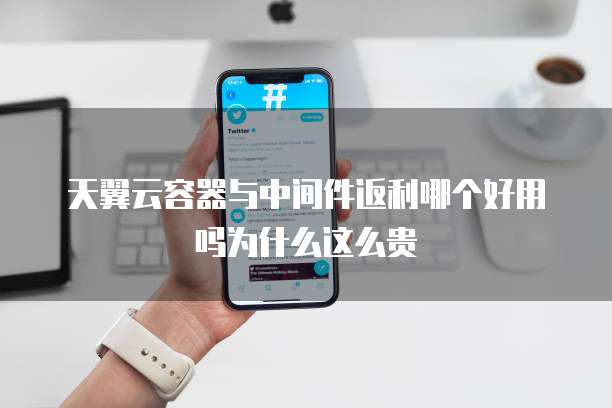 天翼云容器与中间件返利哪个好用吗为什么这么贵