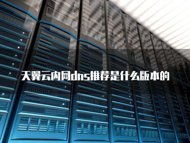 天翼云内网dns推荐是什么版本的