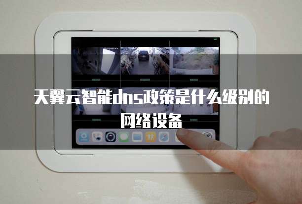 天翼云智能dns政策是什么级别的网络设备