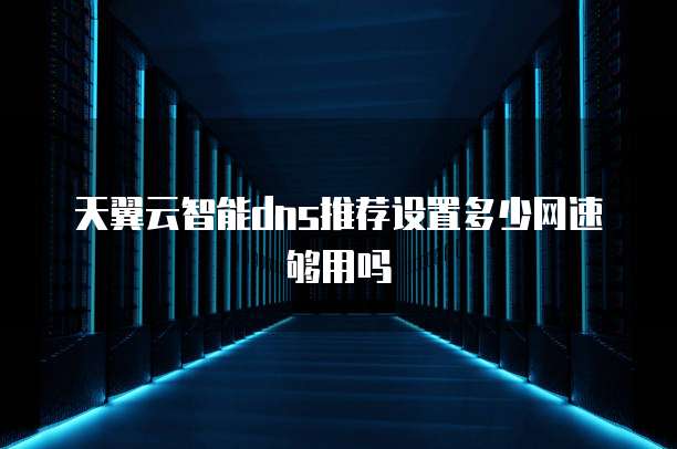 天翼云智能dns推荐设置多少网速够用吗