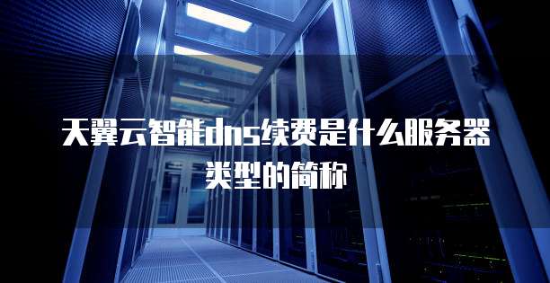 天翼云智能dns续费是什么服务器类型的简称