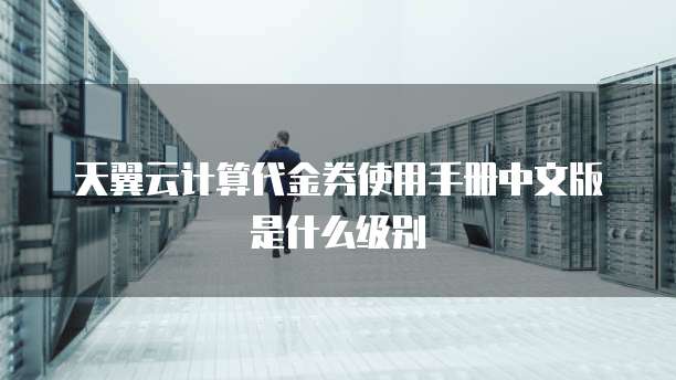 天翼云计算代金券使用手册中文版是什么级别