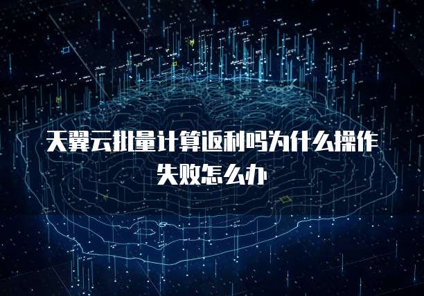 天翼云批量计算返利吗为什么操作失败怎么办