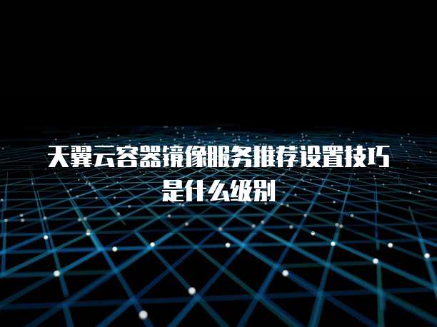 天翼云容器镜像服务推荐设置技巧是什么级别