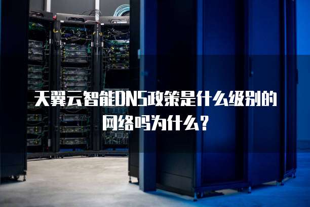 天翼云智能DNS政策是什么级别的网络吗为什么?