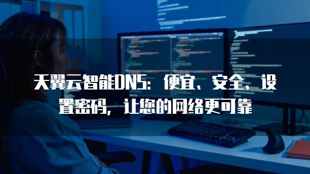 天翼云智能DNS:便宜、安全、设置密码,让您的网络更可靠
