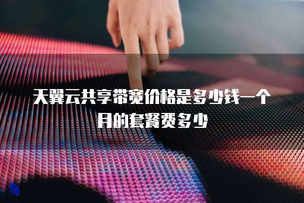 天翼云共享带宽价格是多少钱一个月的套餐费多少