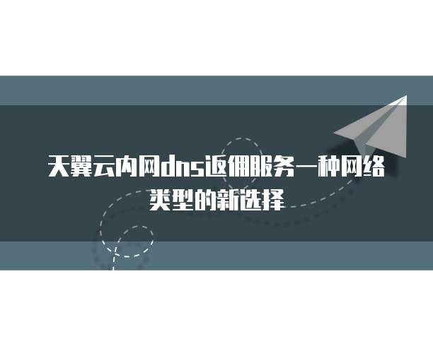 天翼云内网dns返佣服务一种网络类型的新选择