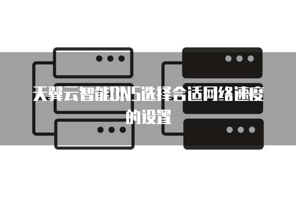 天翼云智能DNS选择合适网络速度的设置