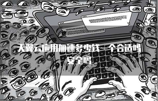 天翼云应用加速多少钱一个合适吗安全吗