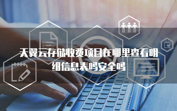 天翼云存储收费项目在哪里查看明细信息表吗安全吗