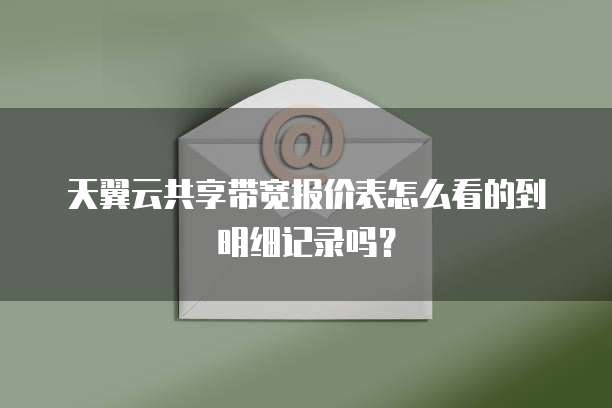 天翼云共享带宽报价表怎么看的到明细记录吗?
