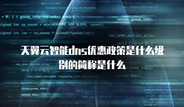 天翼云智能dns优惠政策是什么级别的简称是什么