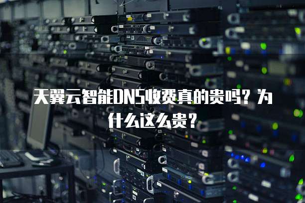 天翼云智能DNS收费真的贵吗?为什么这么贵?