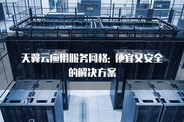 天翼云应用服务网格: 便宜又安全的解决方案