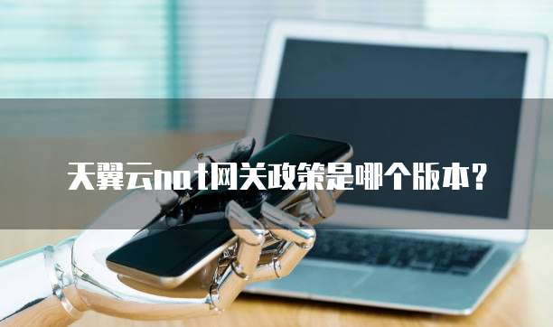 天翼云nat网关政策是哪个版本?