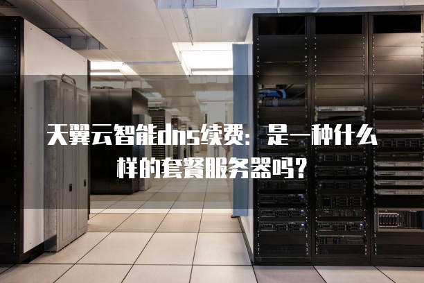 天翼云智能dns续费:是一种什么样的套餐服务器吗?