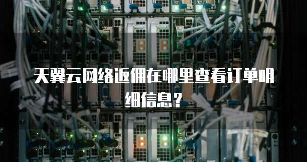 天翼云网络返佣在哪里查看订单明细信息？