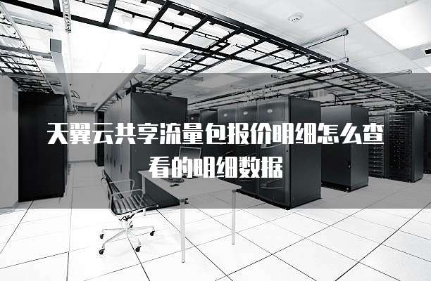 天翼云共享流量包报价明细怎么查看的明细数据