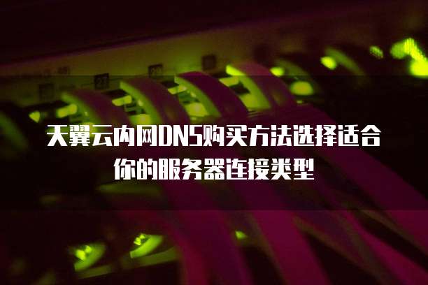 天翼云内网DNS购买方法选择适合你的服务器连接类型