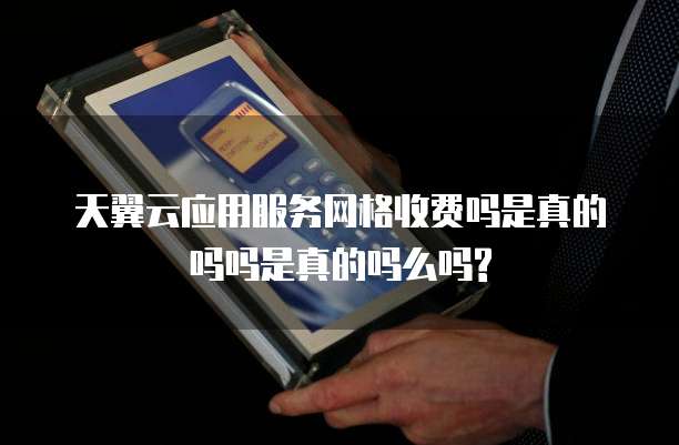 天翼云应用服务网格收费吗是真的吗吗是真的吗么吗?
