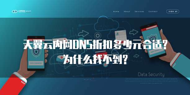 天翼云内网DNS折扣多少元合适?为什么找不到?