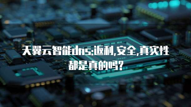 天翼云智能dns:返利,安全,真实性都是真的吗?