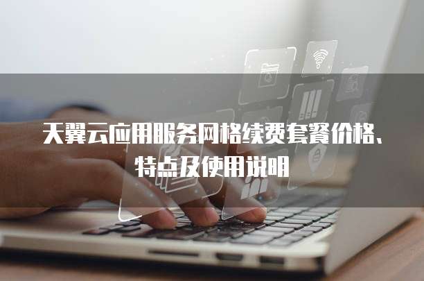 天翼云应用服务网格续费套餐价格、特点及使用说明