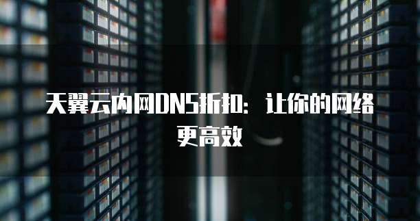 天翼云内网DNS折扣:让你的网络更高效