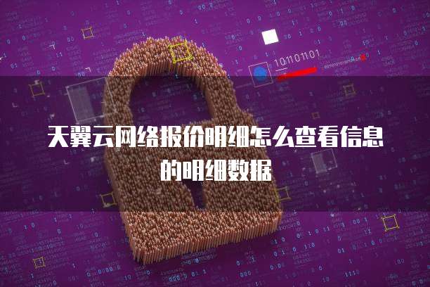 天翼云网络报价明细怎么查看信息的明细数据