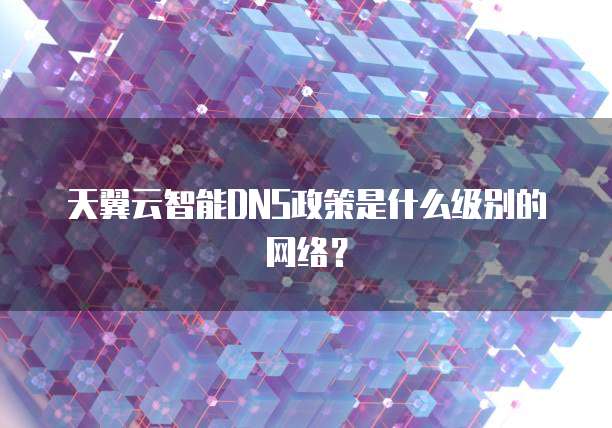 天翼云智能DNS政策是什么级别的网络?
