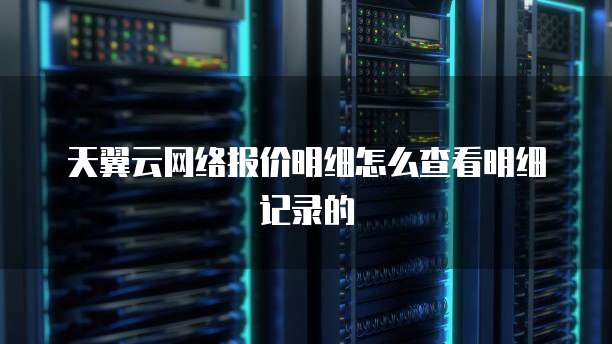 天翼云网络报价明细怎么查看明细记录的