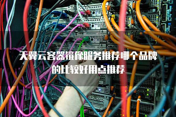 天翼云容器镜像服务推荐哪个品牌的比较好用点推荐