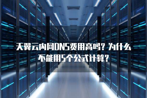 天翼云内网DNS费用高吗?为什么不能用5个公式计算?