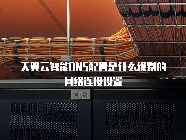 天翼云智能DNS配置是什么级别的网络连接设置