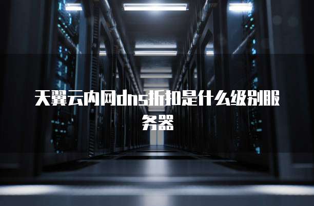 天翼云内网dns折扣是什么级别服务器