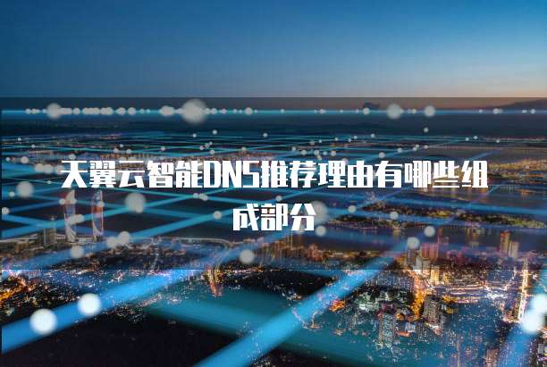 天翼云智能DNS推荐理由有哪些组成部分