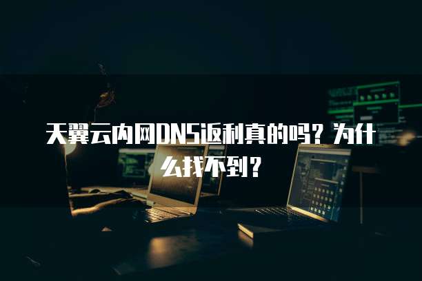 天翼云内网DNS返利真的吗?为什么找不到?
