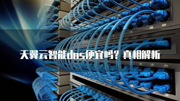 天翼云智能dns便宜吗？真相解析