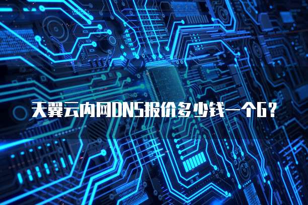 天翼云内网DNS报价多少钱一个G？