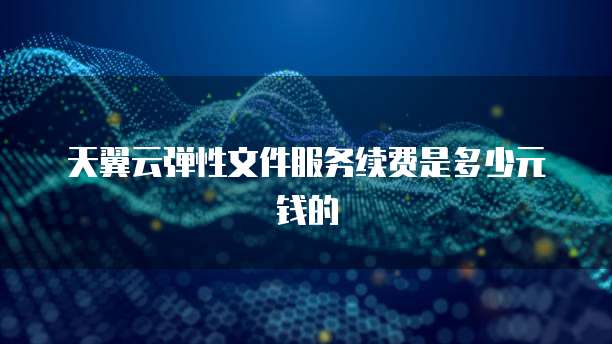 天翼云弹性文件服务续费是多少元钱的